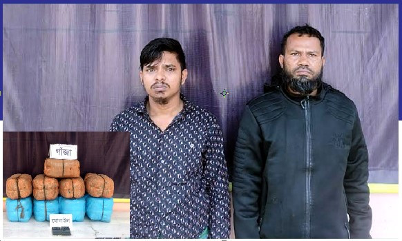 কুমিল্লায় ৩৬ কেজি গাঁজা’সহ ২ মাদক ব্যবসায়ী গ্রেফতার